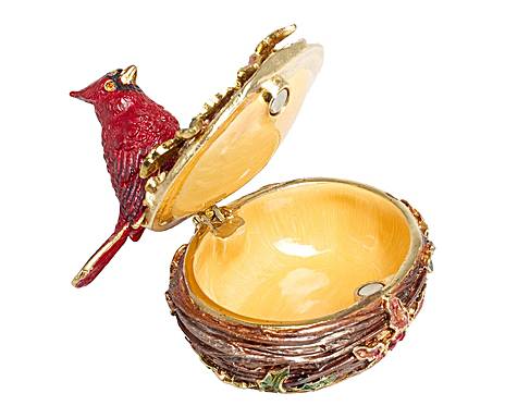 Oiseau sur nid