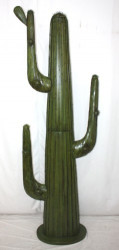Cactus Géant